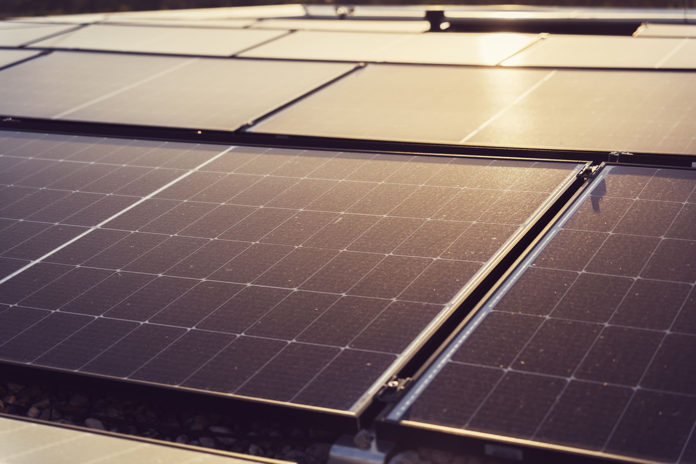 Vollschwarze Solarmodule im warmen Abendlicht